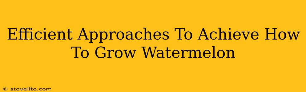 Efficient Approaches To Achieve How To Grow Watermelon