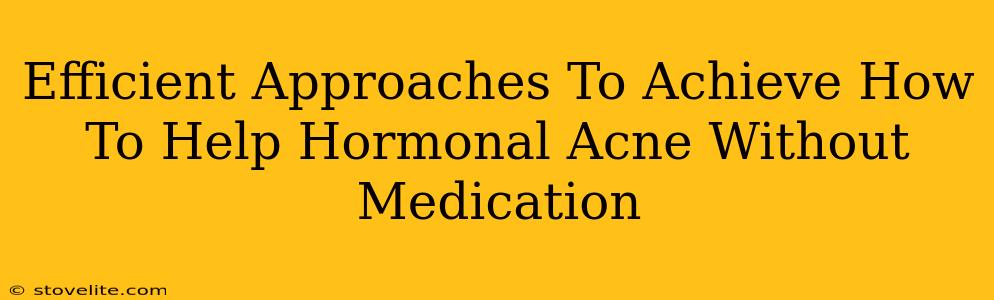 Efficient Approaches To Achieve How To Help Hormonal Acne Without Medication
