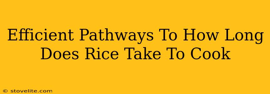 Efficient Pathways To How Long Does Rice Take To Cook