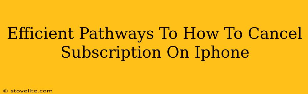 Efficient Pathways To How To Cancel Subscription On Iphone