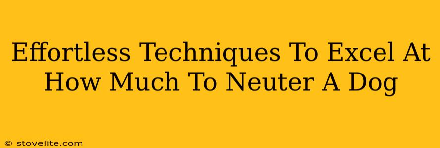 Effortless Techniques To Excel At How Much To Neuter A Dog