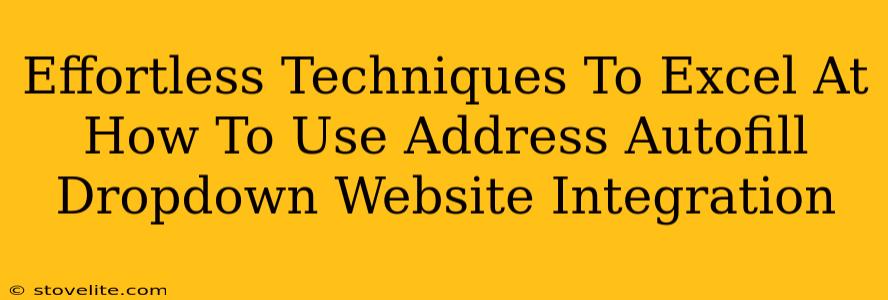 Effortless Techniques To Excel At How To Use Address Autofill Dropdown Website Integration