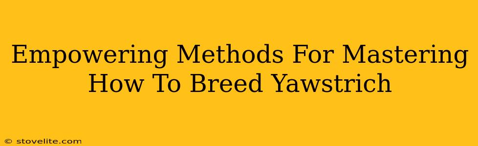 Empowering Methods For Mastering How To Breed Yawstrich