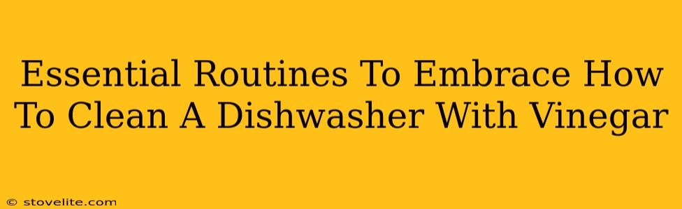 Essential Routines To Embrace How To Clean A Dishwasher With Vinegar