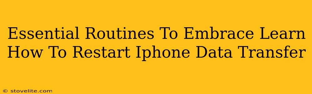 Essential Routines To Embrace Learn How To Restart Iphone Data Transfer