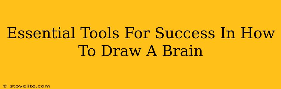 Essential Tools For Success In How To Draw A Brain