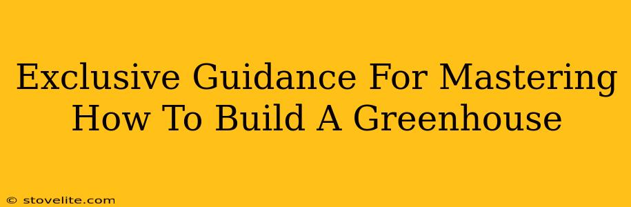 Exclusive Guidance For Mastering How To Build A Greenhouse