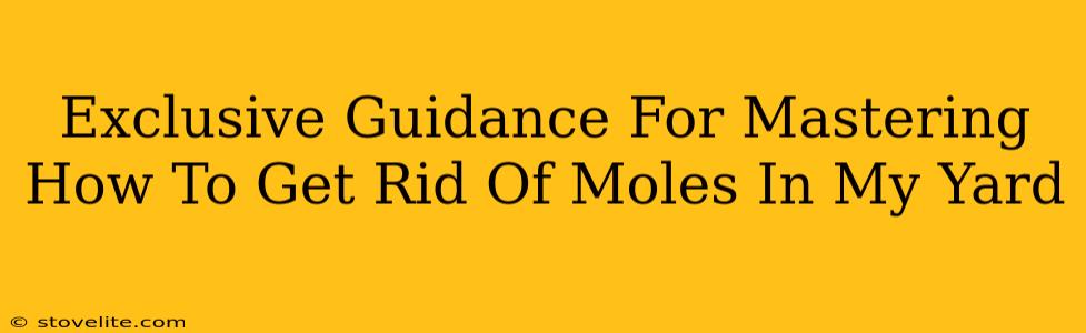 Exclusive Guidance For Mastering How To Get Rid Of Moles In My Yard