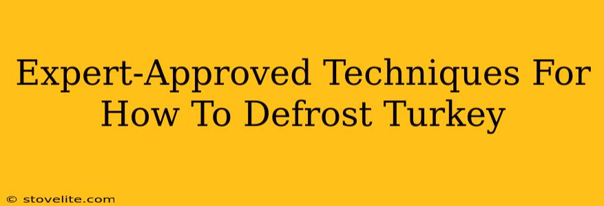 Expert-Approved Techniques For How To Defrost Turkey