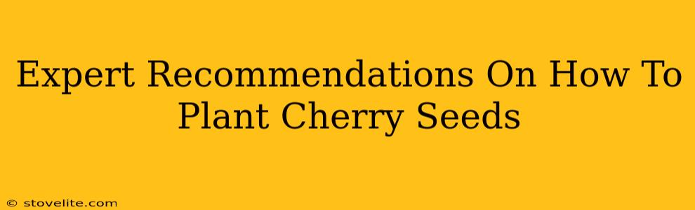 Expert Recommendations On How To Plant Cherry Seeds