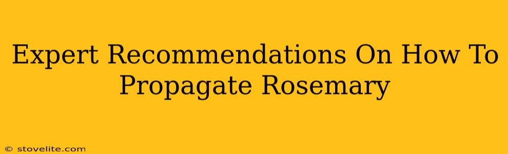 Expert Recommendations On How To Propagate Rosemary