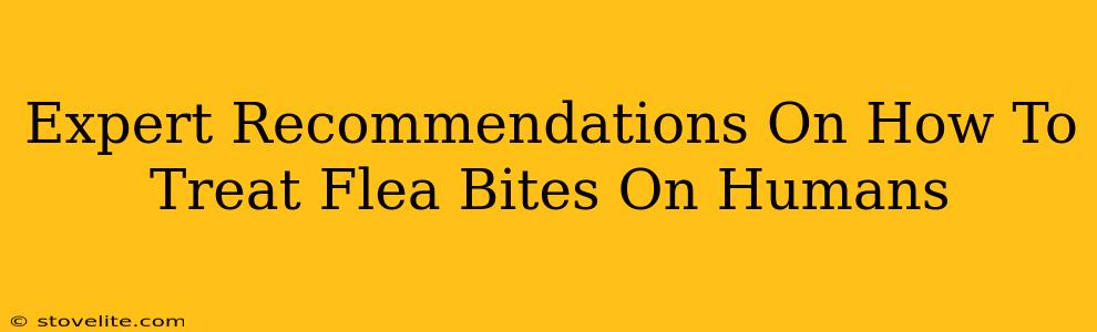 Expert Recommendations On How To Treat Flea Bites On Humans