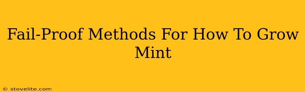 Fail-Proof Methods For How To Grow Mint