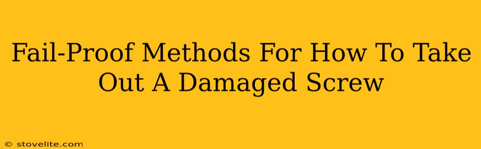 Fail-Proof Methods For How To Take Out A Damaged Screw