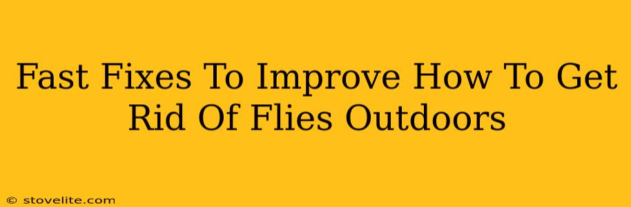 Fast Fixes To Improve How To Get Rid Of Flies Outdoors