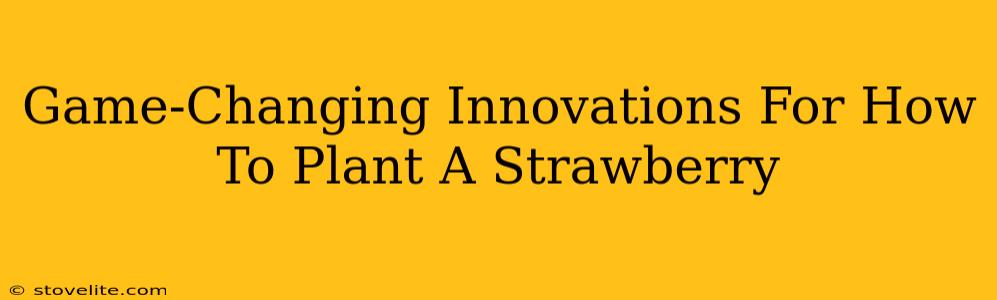 Game-Changing Innovations For How To Plant A Strawberry