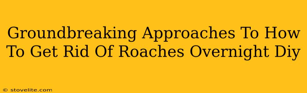 Groundbreaking Approaches To How To Get Rid Of Roaches Overnight Diy