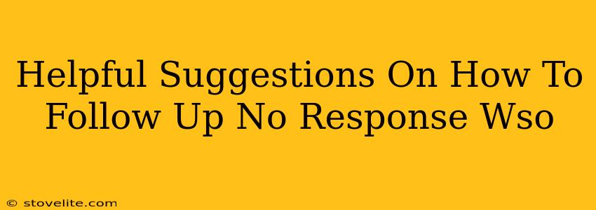 Helpful Suggestions On How To Follow Up No Response Wso