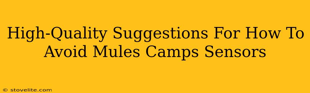 High-Quality Suggestions For How To Avoid Mules Camps Sensors