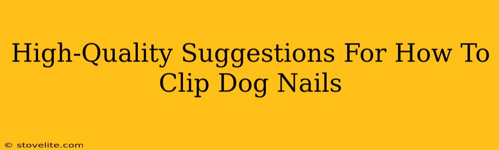 High-Quality Suggestions For How To Clip Dog Nails