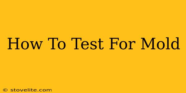 How To Test For Mold