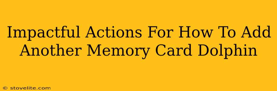 Impactful Actions For How To Add Another Memory Card Dolphin