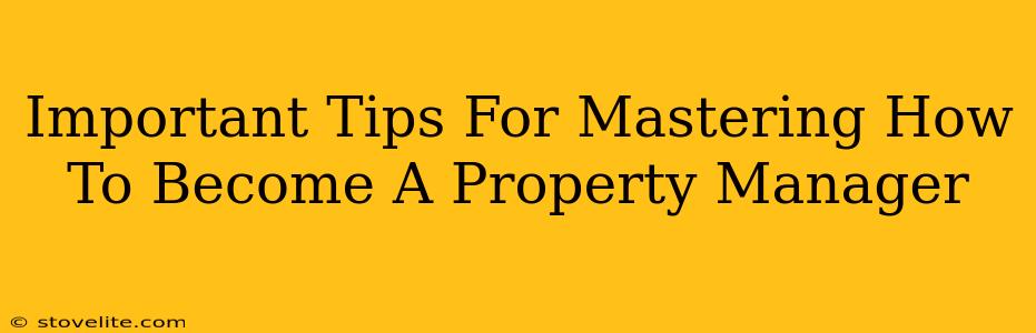 Important Tips For Mastering How To Become A Property Manager