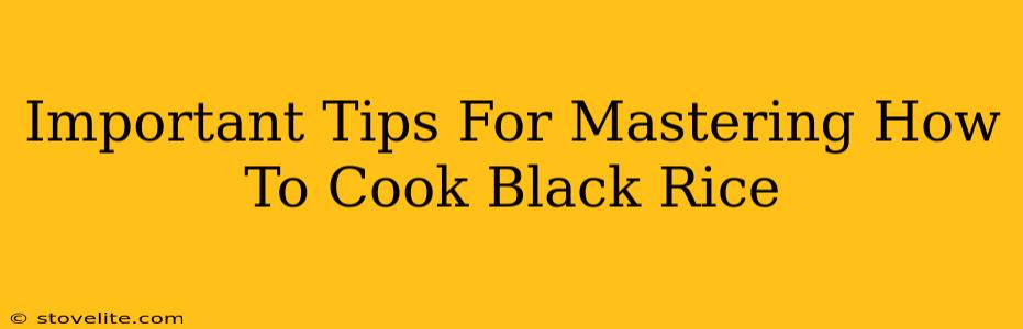 Important Tips For Mastering How To Cook Black Rice