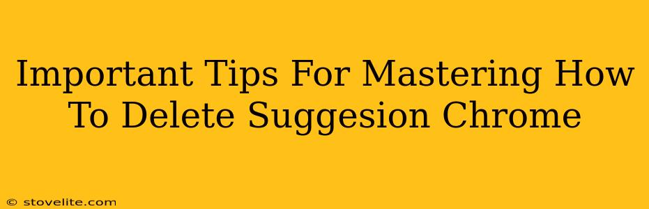 Important Tips For Mastering How To Delete Suggesion Chrome