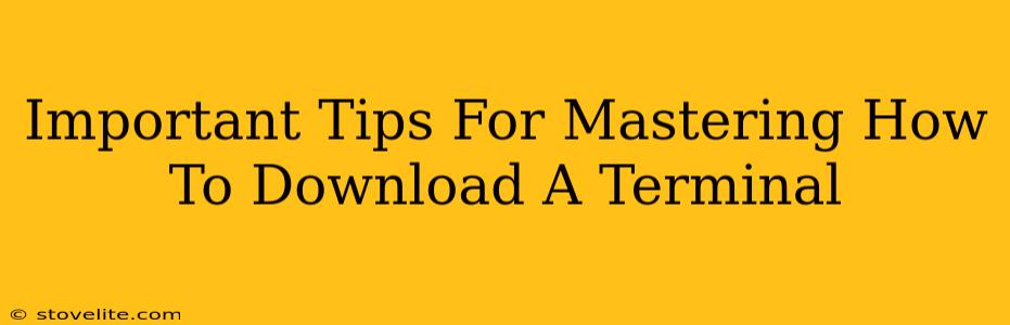 Important Tips For Mastering How To Download A Terminal