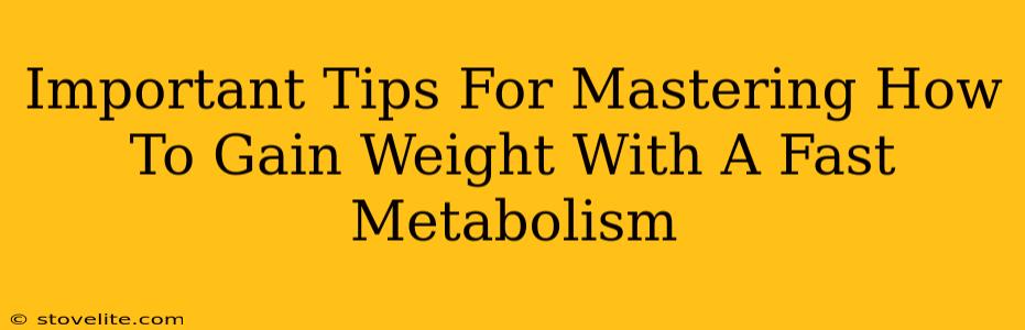 Important Tips For Mastering How To Gain Weight With A Fast Metabolism