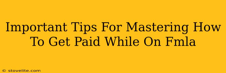 Important Tips For Mastering How To Get Paid While On Fmla
