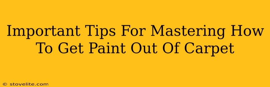 Important Tips For Mastering How To Get Paint Out Of Carpet