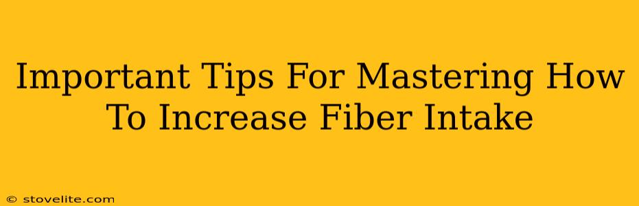 Important Tips For Mastering How To Increase Fiber Intake