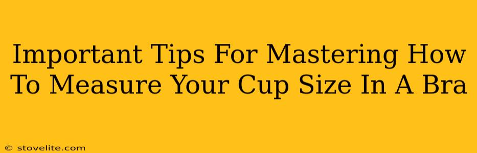 Important Tips For Mastering How To Measure Your Cup Size In A Bra