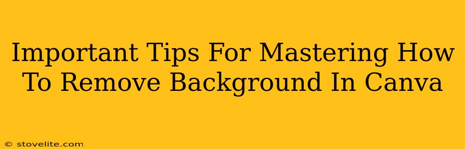 Important Tips For Mastering How To Remove Background In Canva