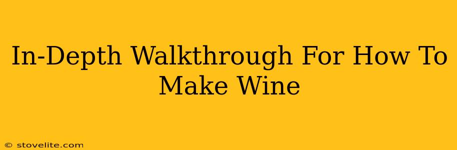 In-Depth Walkthrough For How To Make Wine