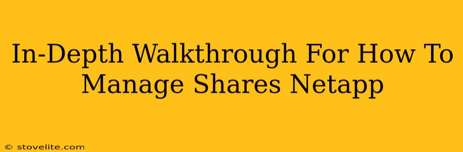 In-Depth Walkthrough For How To Manage Shares Netapp