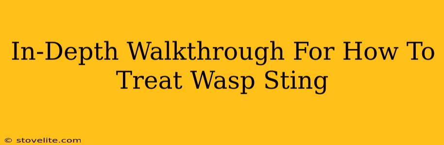 In-Depth Walkthrough For How To Treat Wasp Sting