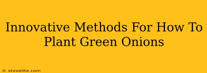 Innovative Methods For How To Plant Green Onions