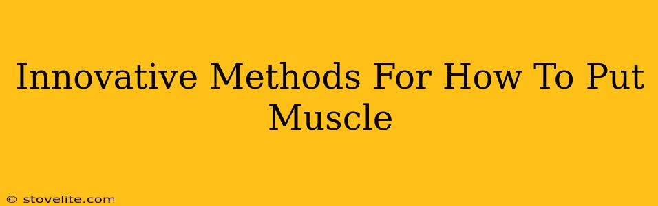 Innovative Methods For How To Put Muscle