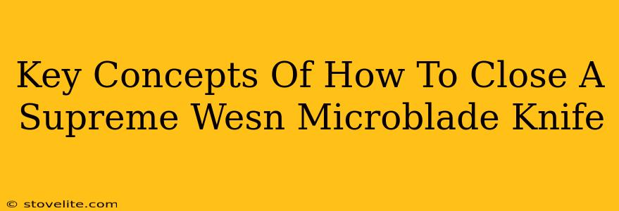 Key Concepts Of How To Close A Supreme Wesn Microblade Knife