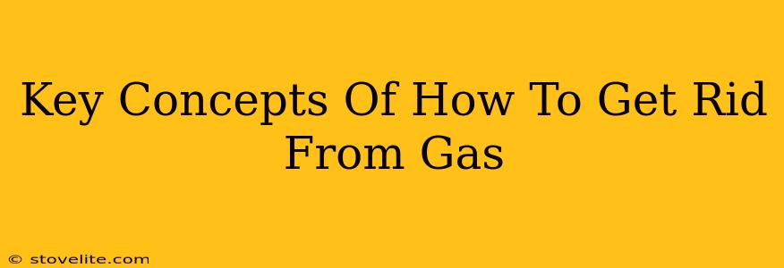 Key Concepts Of How To Get Rid From Gas