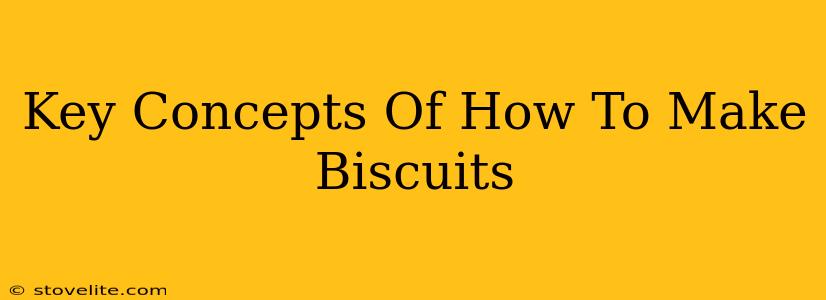 Key Concepts Of How To Make Biscuits