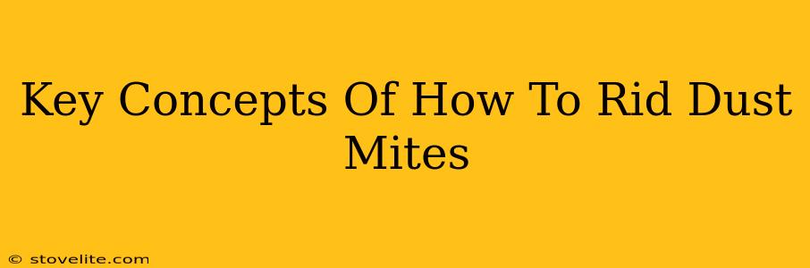 Key Concepts Of How To Rid Dust Mites