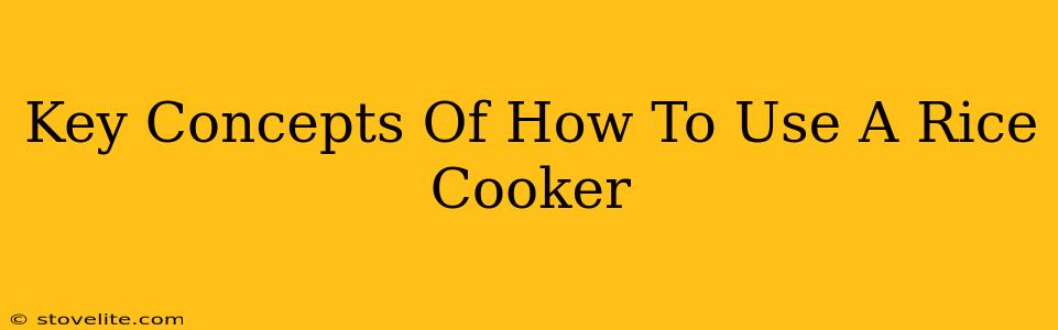 Key Concepts Of How To Use A Rice Cooker