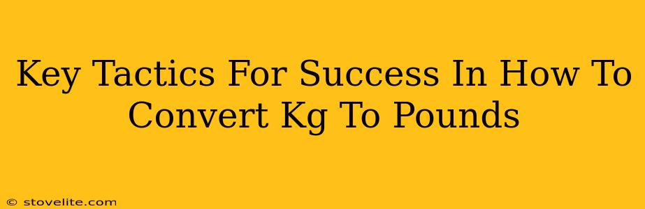 Key Tactics For Success In How To Convert Kg To Pounds