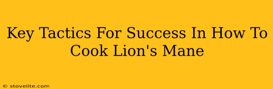 Key Tactics For Success In How To Cook Lion's Mane