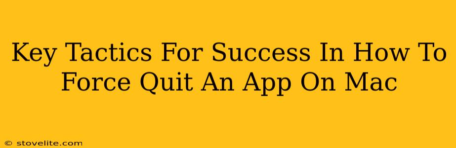 Key Tactics For Success In How To Force Quit An App On Mac