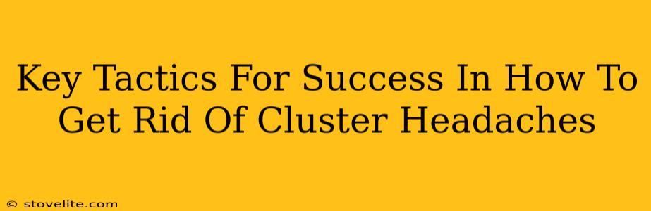 Key Tactics For Success In How To Get Rid Of Cluster Headaches